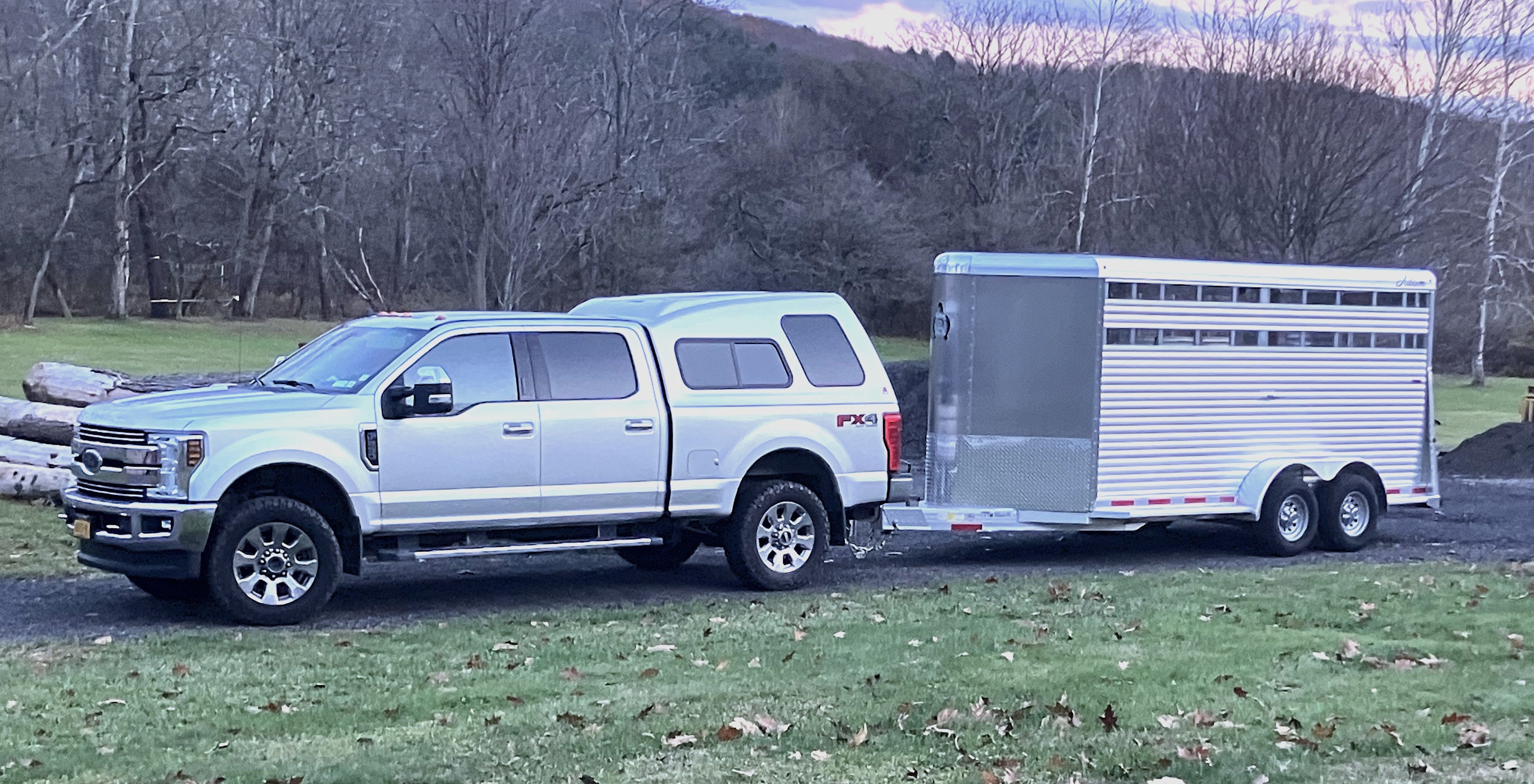 Quick's Berkshire & Heritage Pigs